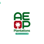 Lowongan Kerja PT Anglo Eastern Plantations Management Indonesia