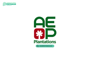 Agronomy Manager R & D