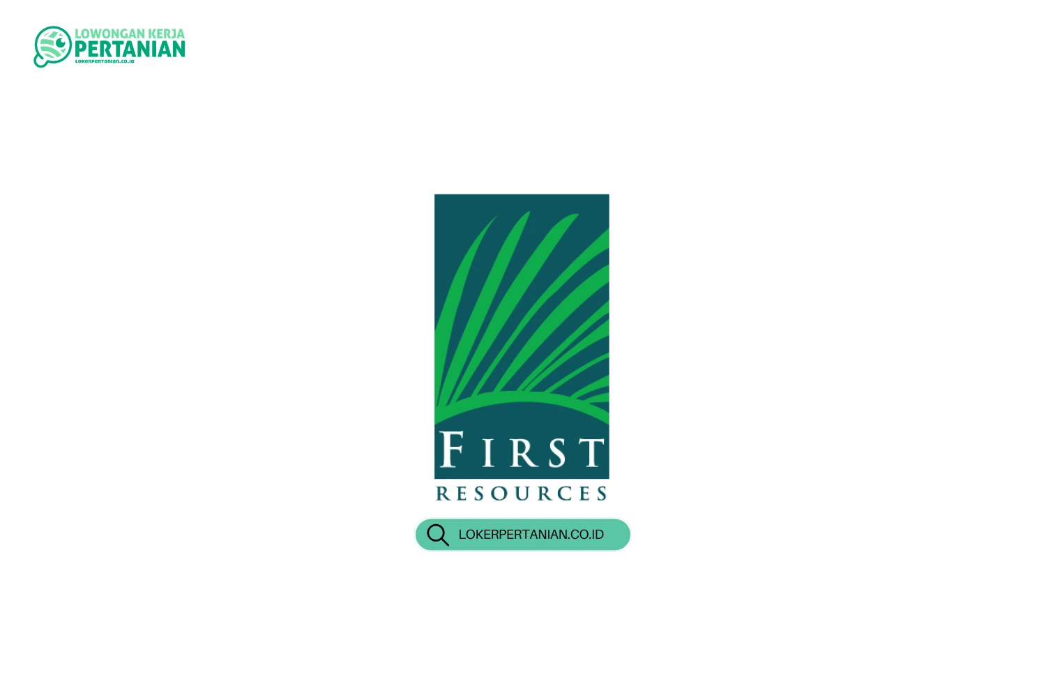 Lowongan Kerja First Resources Limited Juli 2026