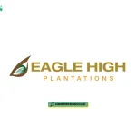 Lowongan Kerja PT Eagle High Plantations Tbk