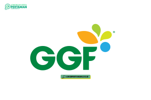 Plantation Leader Development Program